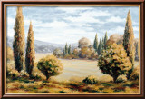 Vista del valle Pósters por Raya