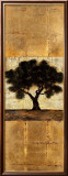 Great Woods II Láminas por Mary Calkins