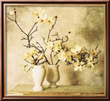 Branches de magnolia Affiches par Thea Schrack