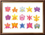 Flower Blossom with Smile Lámina giclée enmarcada por Miyuki Hasekura Flower Blossom with Smile Lámina giclée enmarcada por Miyuki Hasekura