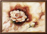 Rose Shadow II Poster von Karin Valk