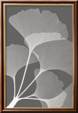 Ginkgos II Pósters por Steven N. Meyers Ginkgos II Pósters por Steven N. Meyers