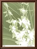 Flower Shadow III Innrammet trykk – spesialversjon av Lois Bender