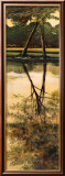 Reflejos de otoño I Pósters por Robert Holman Reflejos de otoño I Pósters por Robert Holman