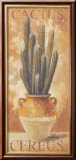 Cereus Láminas por Pascal Cessou Cereus Láminas por Pascal Cessou