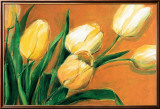 Tulipa Nova Posters by Elisabeth Krobs
