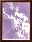Flower Shadow V Innrammet trykk – spesialversjon av Lois Bender