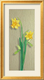Narcissus Art by M. Allegri