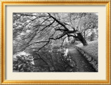 Japanese Garden Affischer av Henri Silberman
