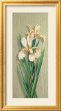 Iris Affiches par M. Allegri