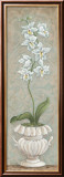 Lavish Orchids II Prints by Angela Ferrante
