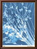 Flower Shadow IV Innrammet trykk – spesialversjon av Lois Bender