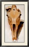Mule Skull and Feathers Art by Georgia O'Keeffe
