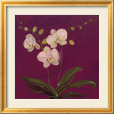 Moon Shadows III Prints by Mimi Roberts