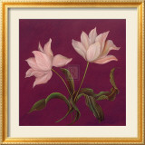 Moon Shadows I Prints by Mimi Roberts