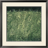 Moonlight Shadow Prints by Giancarlo Abeni