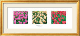 Tulip Panel Pósters por Bent Rej Tulip Panel Pósters por Bent Rej