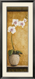 Hanna's Orchids I Affiches par Susan Osborne
