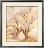 Algodonales en invierno, Este V, 1954 Póster por Georgia O'Keeffe