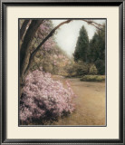 Azalea Way Posters by Barbara Kalhor