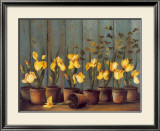 Iris Jaunes Affiches par Fabrice De Villeneuve