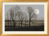 November Moon Posters par Heather Jacks