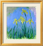 Les Iris Jaunes Affiches par Claude Monet
