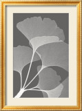 Ginkgos II Affiches par Steven N. Meyers