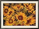 Lions and Sunflowers II Plakater av Richard Bolingbroke Lions and Sunflowers II Plakater av Richard Bolingbroke