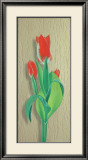 Tulip Prints by M. Allegri
