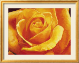Gaiezza Print by S. Re