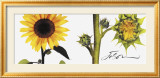 Helianthus Kunst af JoSon Helianthus Kunst af JoSon