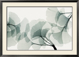 Ginkgo Dance Posters par Steven N. Meyers