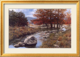 Cypress Creek Affiches par Glowka Greg