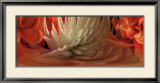 Dahlias IV Láminas por Huntington Witherill