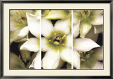Triptyque Etoile de Bethlehem Poster par Andrew Levine