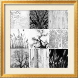 En forêt Posters par Greg Anthon