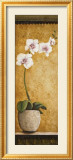 Hanna's Orchids I Póster por Susan Osborne Hanna's Orchids I Póster por Susan Osborne
