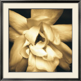 Yellow Flower Láminas por Nelson Figueredo