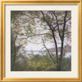 Lakeside Trees I Print by John Folchi
