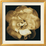 Yellow Flower Pósters por Nelson Figueredo