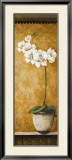 Hanna's Orchids II Posters par Susan Osborne