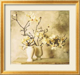 Branches de magnolia Posters par Thea Schrack