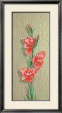 Orchid Posters by M. Allegri