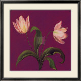 Moon Shadows II Prints by Mimi Roberts