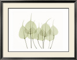 Woodlands I Prints by Acee 