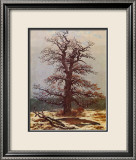Oak in the Snow Estampe encadrée par Caspar David Friedrich