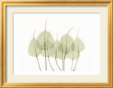 Woodlands I Poster by Acee 
