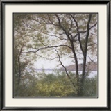 Lakeside Trees I Art by John Folchi