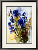 Iris Print by J. Hammerle
